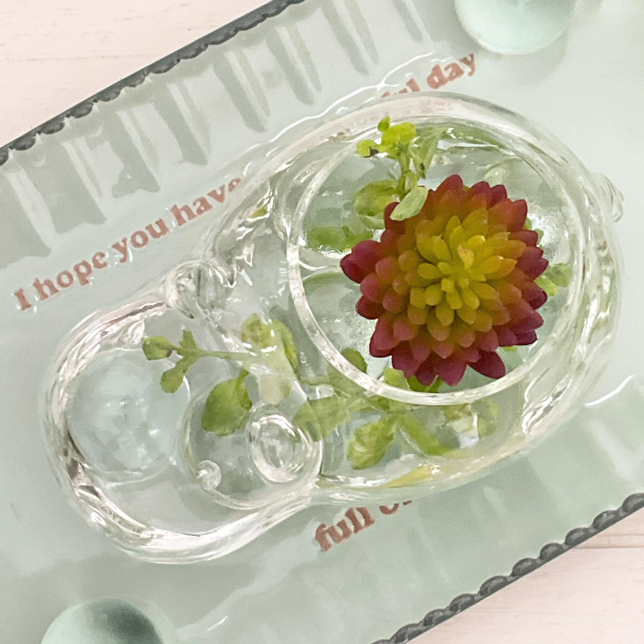 カバさんの水浴び(多肉植物／ブラウン) | 4枚目